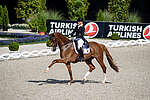 Tryon: Das deutsche Dressurteam ist nominiert