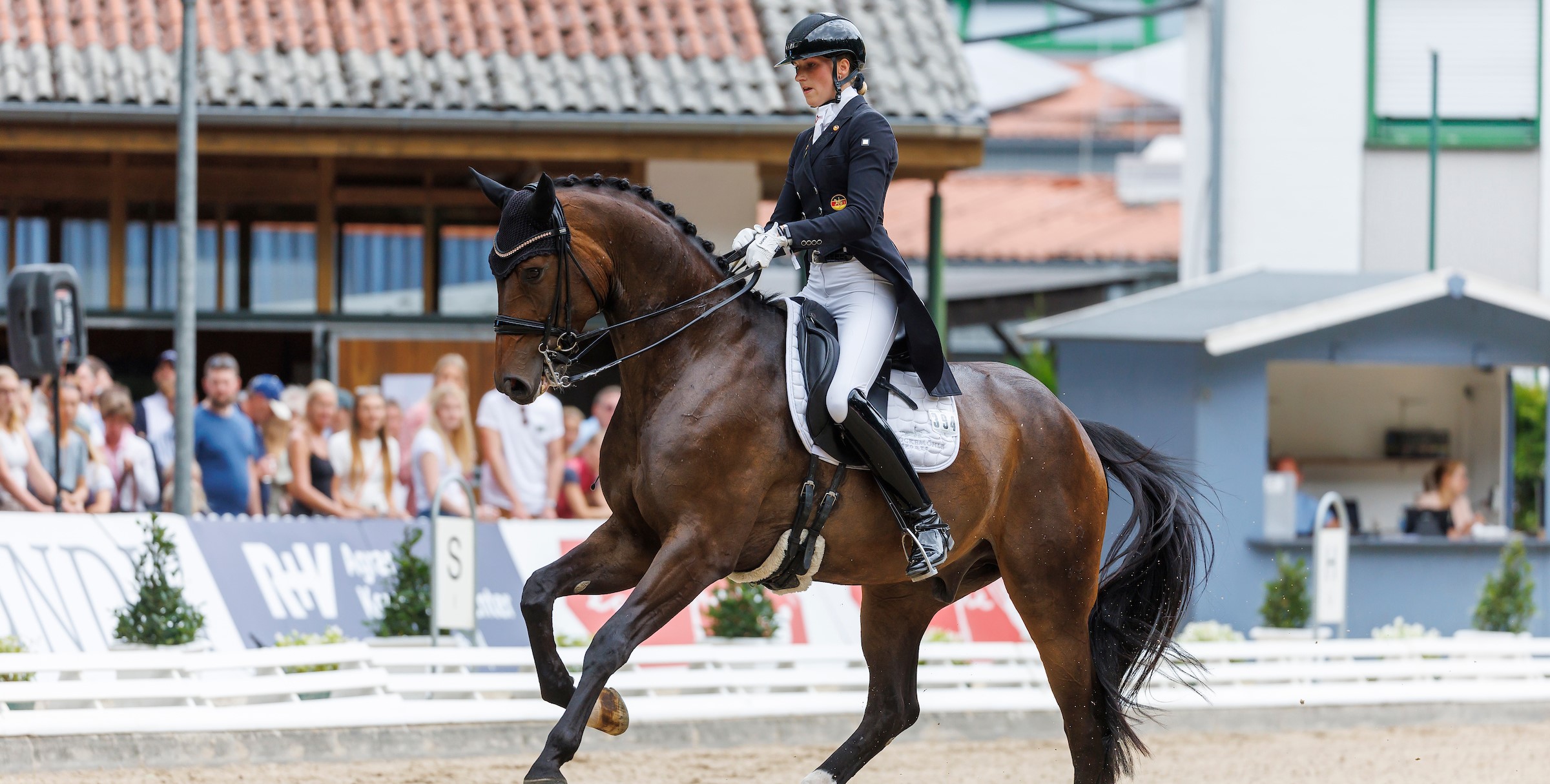 Warendorf: Dos Amigos erster Champion der Siebenjährigen