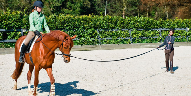 Ausbildung: Der korrekte Reitersitz 