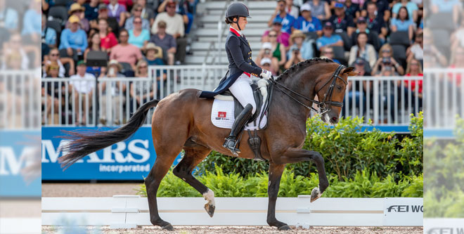 Portrait: Charlotte Dujardins Spitzenstute Freestyle 