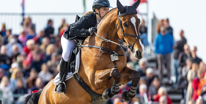 Horses & Dreams: Endlich wieder viel Publikum